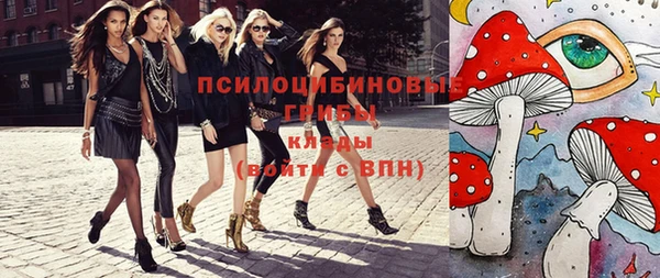 гашик Семикаракорск